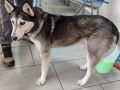 01.01.2025 Witosa S