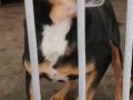 05.01.2025 Witosa S