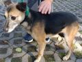 08.10.2023 Pac- Pomarnackiego S