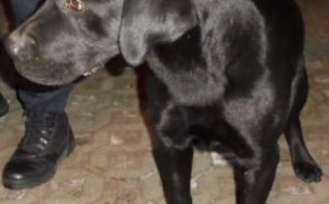 09.01.2022 Strzelecka S