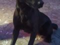 09.01.2022 Vietha S