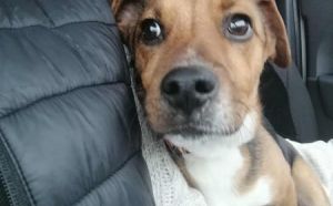 09.02 - Zielony Szpitalik