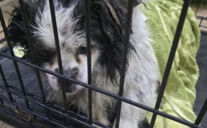 1.01.2026 r. Warszawska L