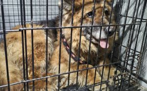 10.03.2026 r. Stacja Radom Wschodni S