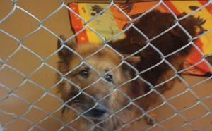 13.01.2026 r. Walentynowicz S