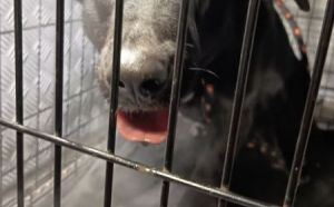 14.01.2026 r. Wernera S