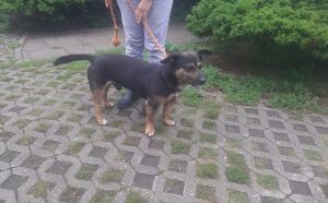 14.08.2021r-wronckiej