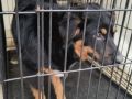 15.04.2026 r. Gorna S