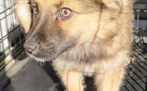 16.02.2026 r. Marii Gail S