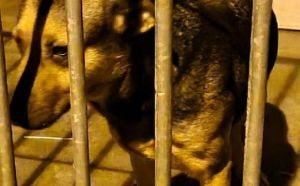 16.12.2025 r. Witosa S