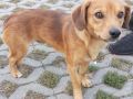 18.09.2023 Ofiar Firleja S