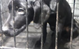 18.12.2025 r. Mlynarska S