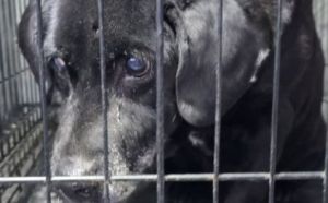 19.01.2026 r. Traktorzystow L