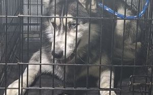 19.04.2026 r. Potkanskiego S