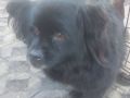 20.01.2025 Nowa Wola Golebiowska S