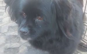 20.01.2025 Nowa Wola Golebiowska S