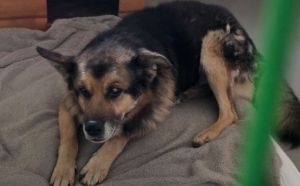 21.03.2026 r. Witosa S