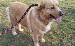 24.03.2026 r. Bulwarowa S