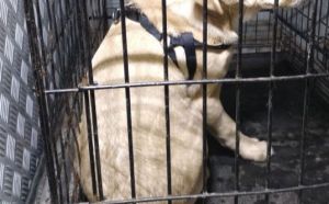 24.12.2025 r. Osiedlowa S