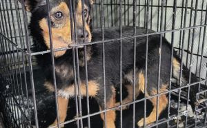 26.01.2026 r. Mieszka I S