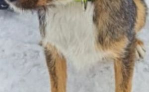 27.01.2026 r. Ofiar Firleja S