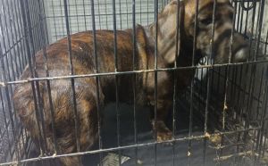 27.01.2026 r. Sniadeckich S