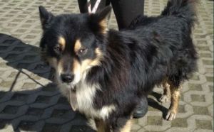 27.03.2019 Torunska S