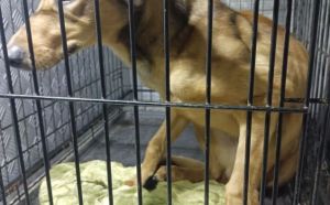 3.01.2026 r. Moniuszki S