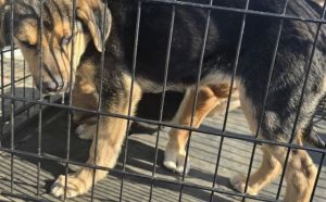 3.03.2026 r. Ofiar Firleja S