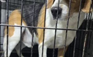 31.12.2025 r. Potokowa S