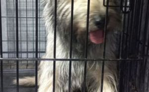 5.04.2026 r. Makowska S