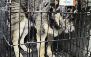 6.03.2026 r. Energetykow S