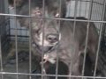 6.04.2025 r. Gagarina S