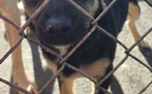 6.11.2025 r. Witosa S