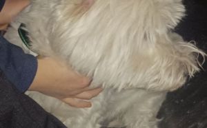 7.02.2026 r. Kozienicka. S