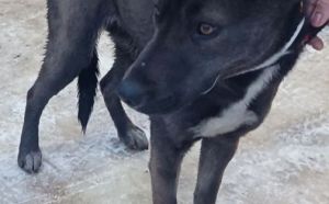 7.02.2026 r. Warszawska S