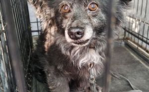 8.03.2026 r. Gagarina S