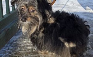 9.02.2026 r. Kielecka S