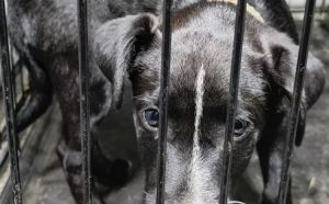 9.11.2025 r. Marii Gajl S